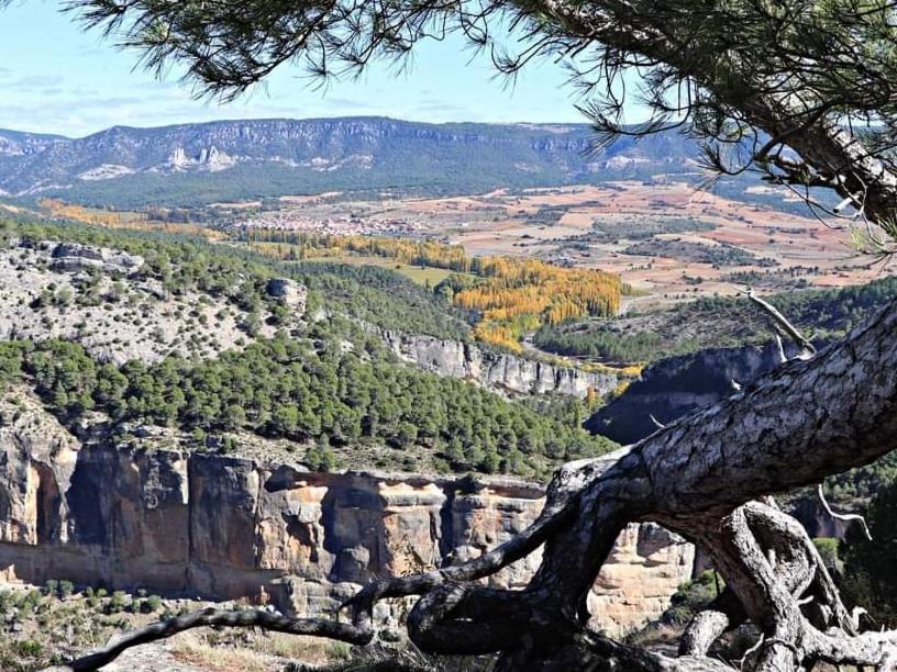 Hostal Cañamares Dış mekan fotoğraf