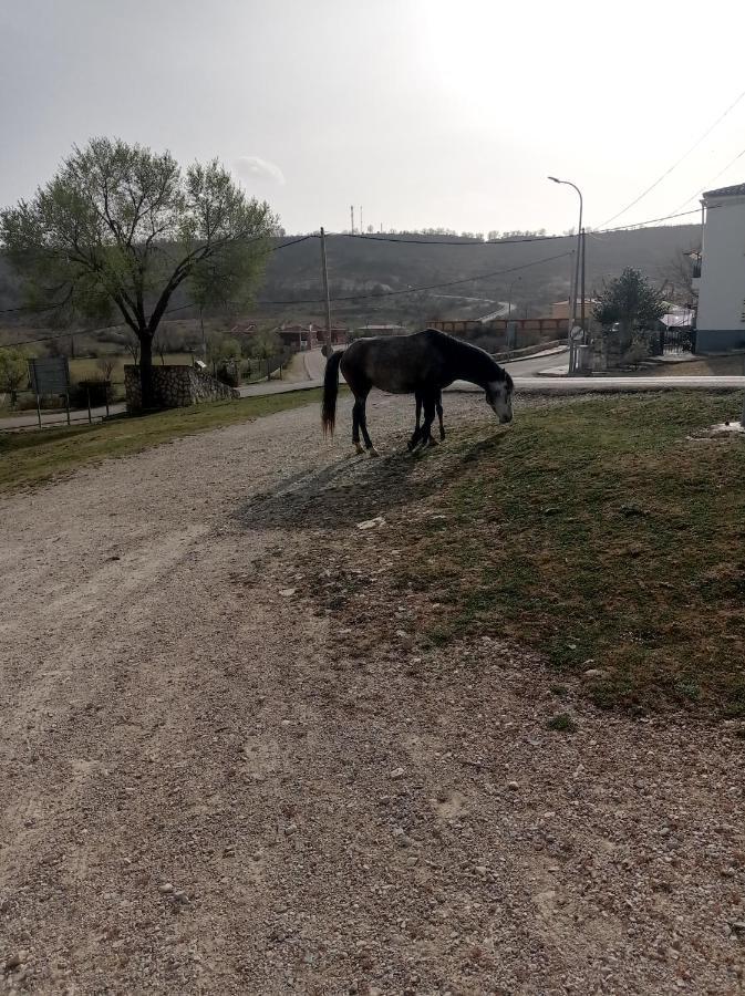 Hostal Cañamares Dış mekan fotoğraf